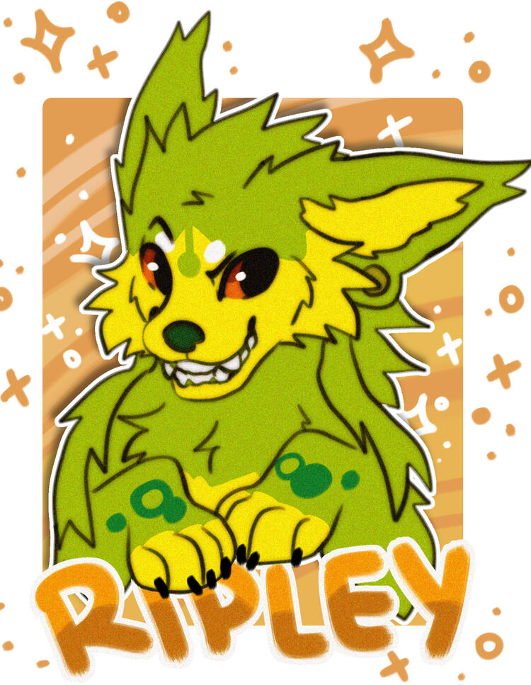 Badges ─ $85