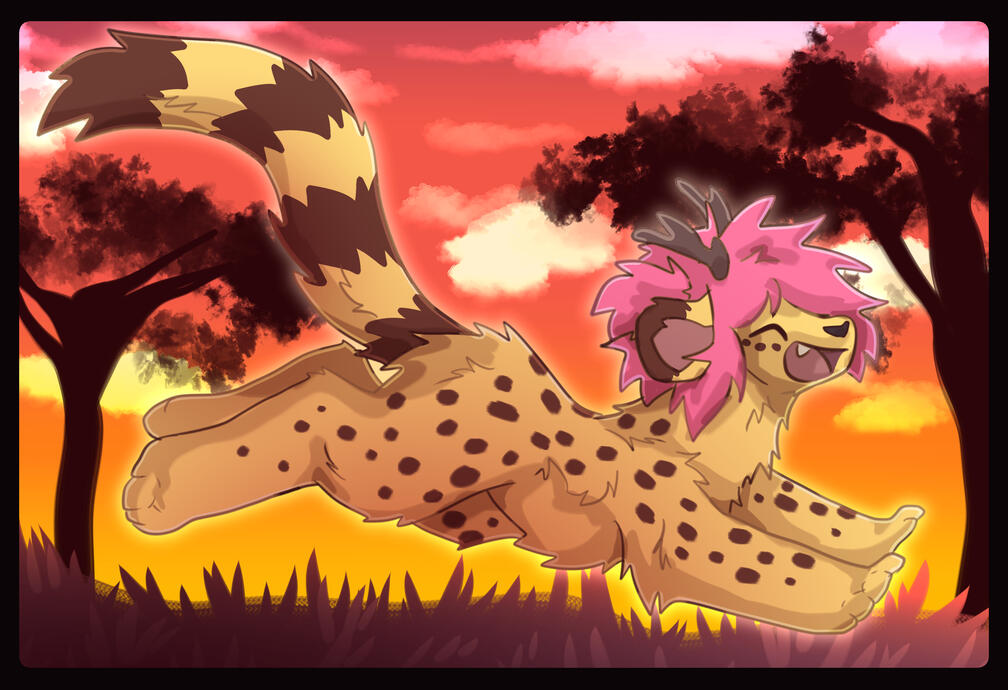 savannah run.
